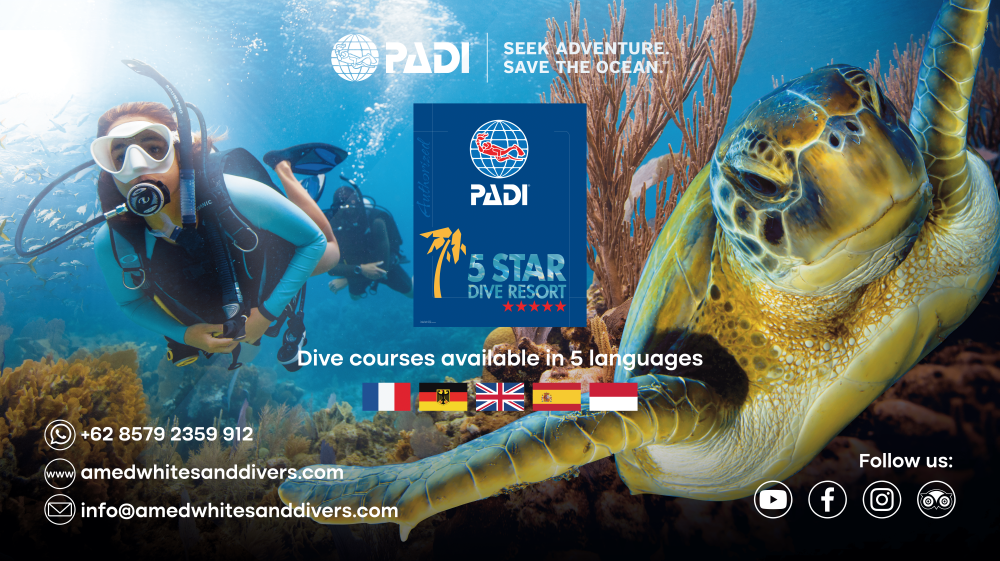 White Sand Divers Front Panel